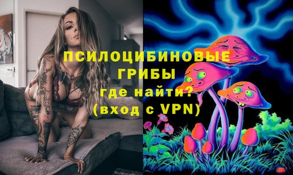 бошки Алзамай