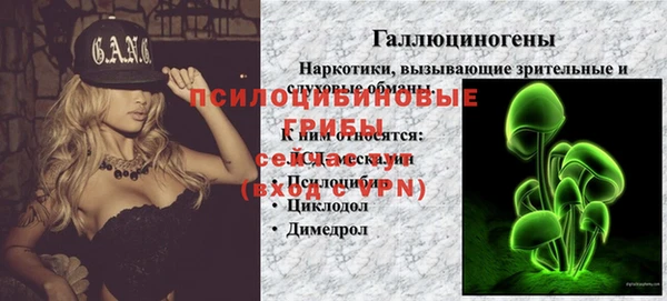 бошки Алзамай